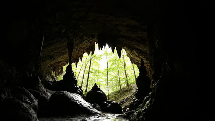 ɽ�����������ⰻȻ��ɭ�־���