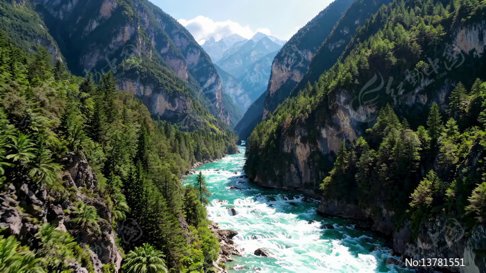 ɽ�ȼ����ɭ����Ȼ���