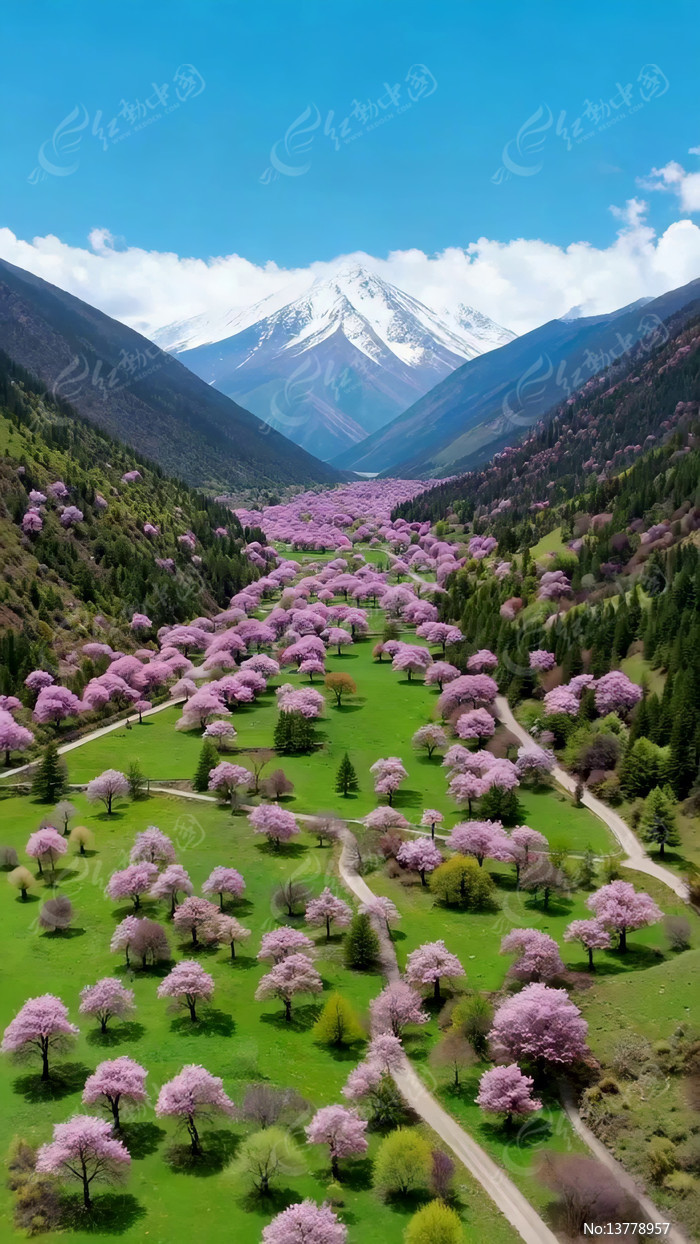 ɽ�ȼ�ʢ���ķ�ɫ�һ��羰