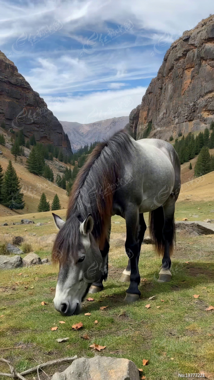 ɽ������ƥ��ͷ�Բݳ���