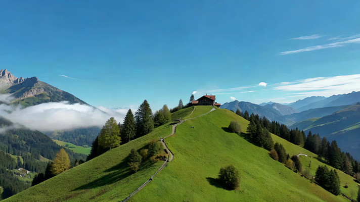 ɽ��ݵ�ɭ��Զ���羰