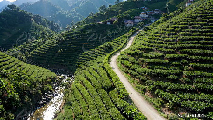 ɽ���԰������С·����