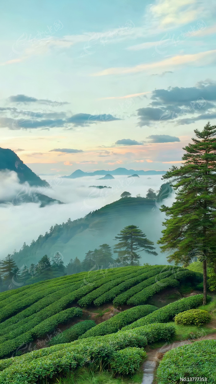 ɽ���԰��Ȼ���