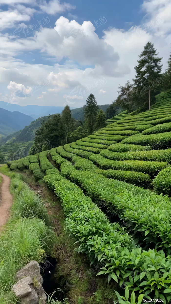 ɽ���԰��Ȼ���