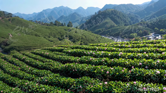 ɽ���԰��Ȼ���