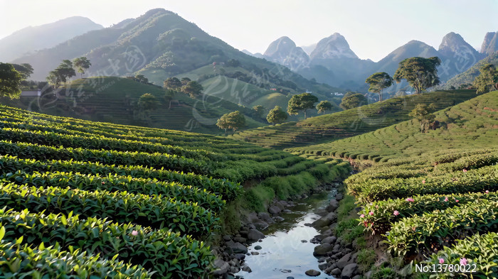 ɽ���԰��Ȼ���