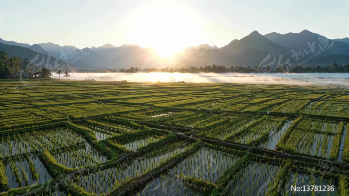 ɽ�䵾���ճ�ȫ��