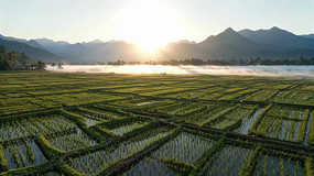 ɽ�䵾���ճ�ȫ��