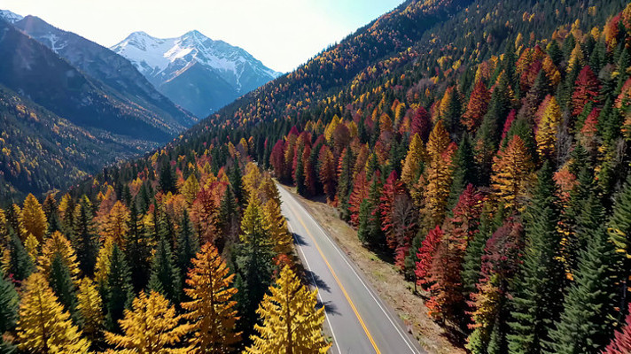 ɽ�乫·�ﾰ����