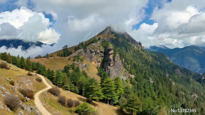 ɽ�乫·�����ɽ�ַ��