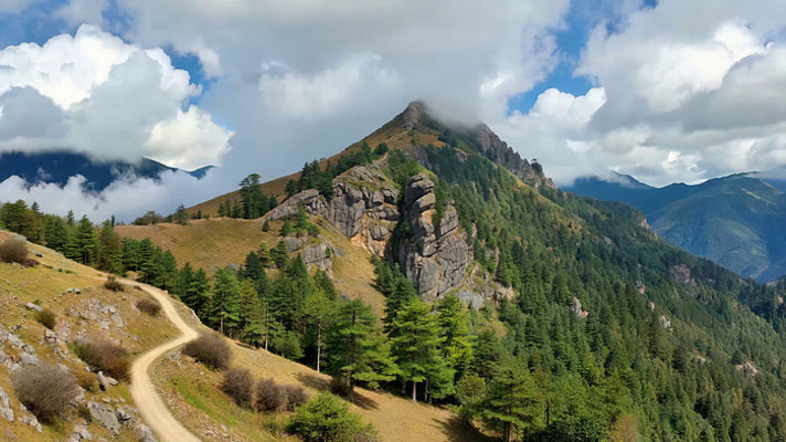 ɽ�乫·�����ɽ�ַ��