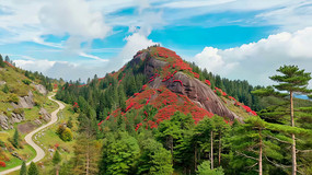 ɽ�乫·�뷱�������羰