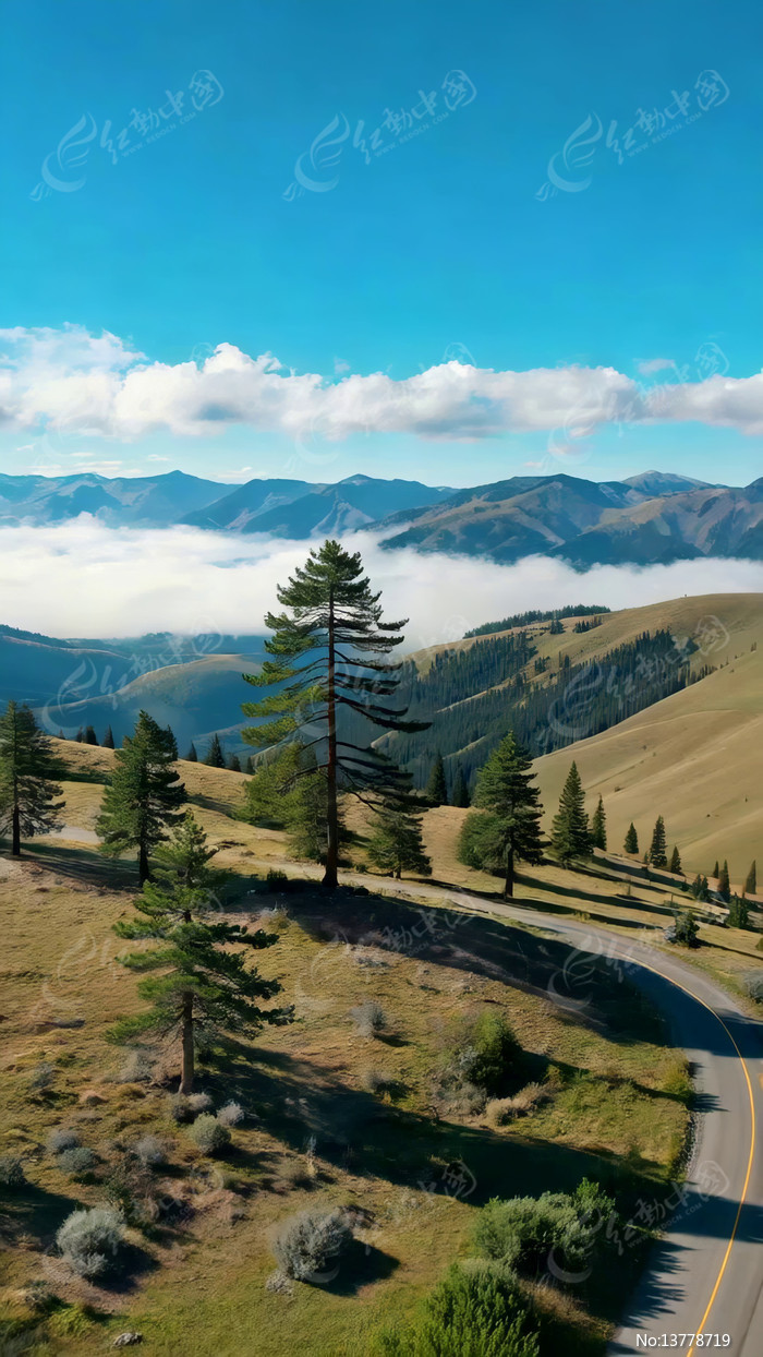 ɽ�乫·��Ȼ��⺽���ز�