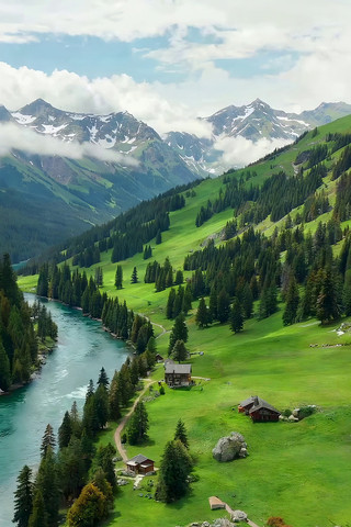 ɽ��ӹ�ɭ�ֲ�ԭ�羰