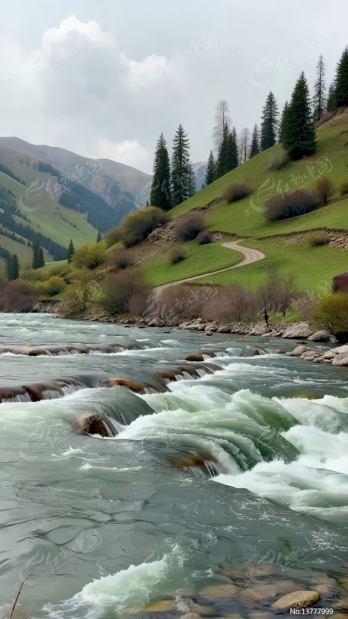 ɽ�����ɭ����Ȼ���