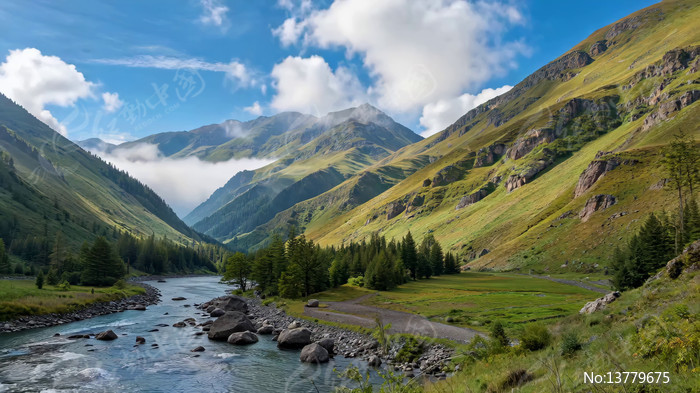 ɽ�����ɭ����Ȼ���