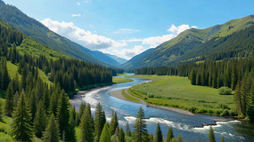 ɽ�����ɭ����Ȼ���