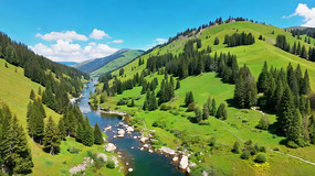 ɽ�����ɭ����Ȼ���