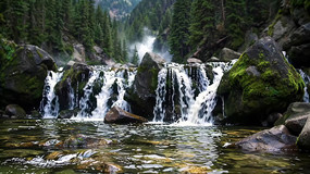 ɽ���ٲ�ɭ����Ȼ����