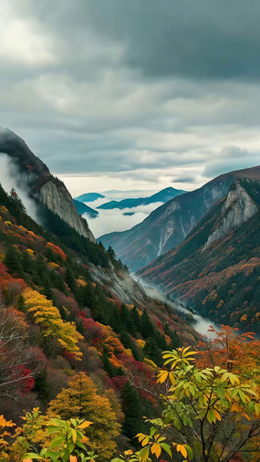 ɽ����ɫ�������Ʒ羰