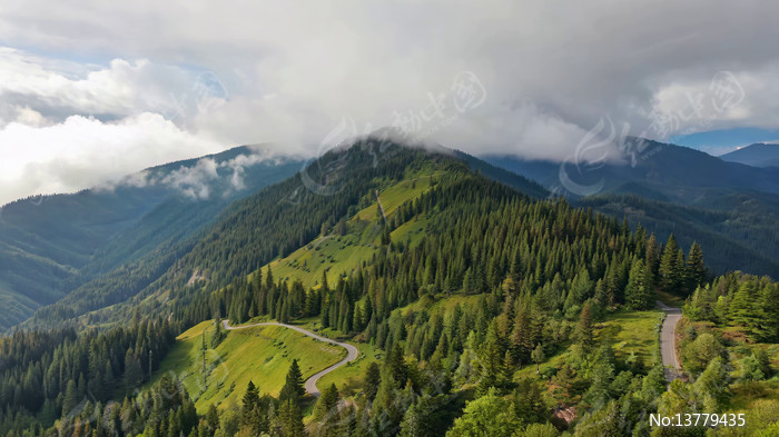 ɽ��ɭ�ֹ�·ȫ��