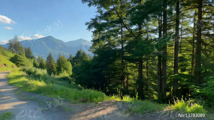 ɽ��ɭ���е�С·�羰