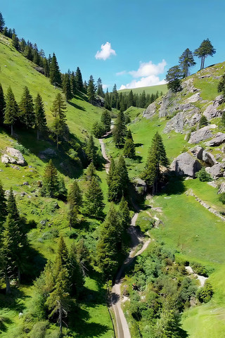 ɽ��ɭ���е�����С·