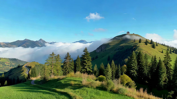 山间森林自然风光全景 山间森林自然风光全景