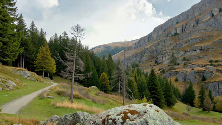 山间树林小路自然风光 山间树林小路自然风光