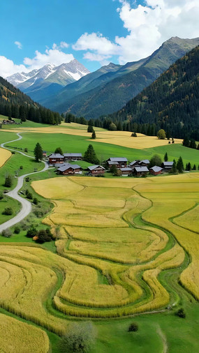 ɽ����԰���ȫ��