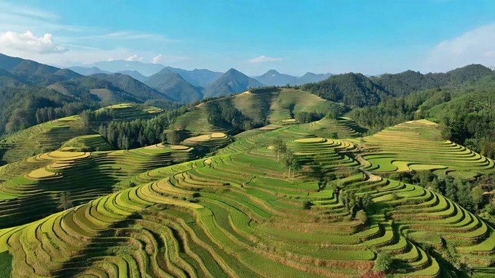 ɽ�������⸩�