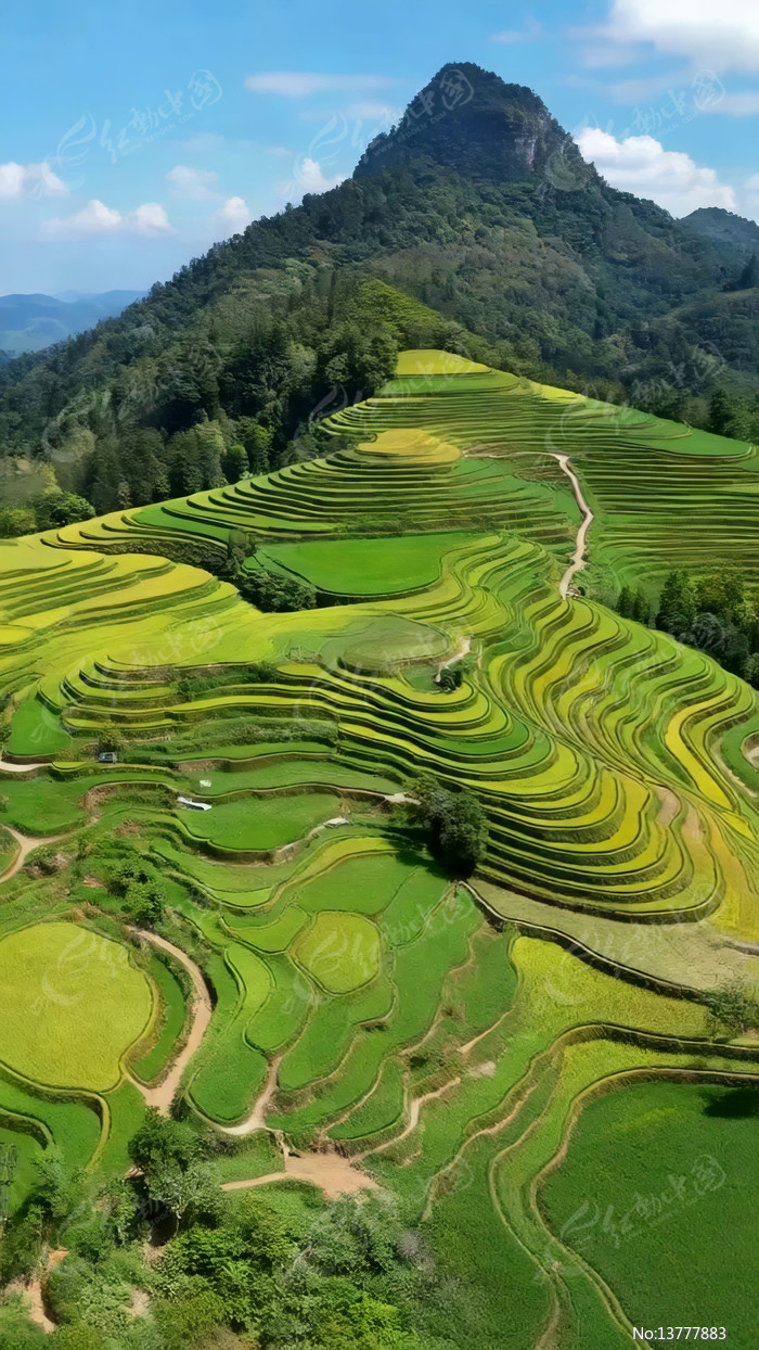 ɽ�����︩�ȫ��