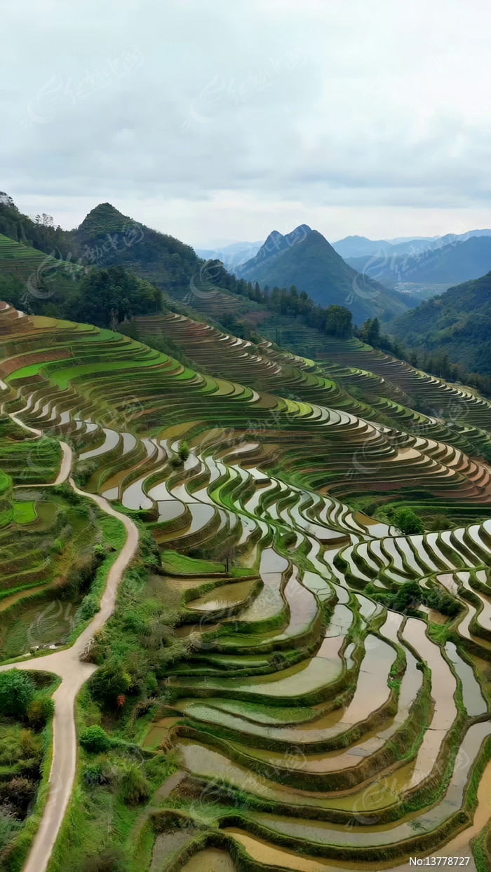 ɽ��������԰����ز�