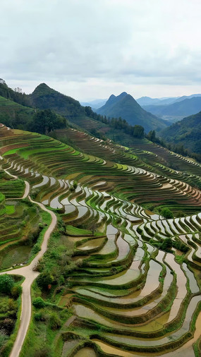 ɽ��������԰����ز�