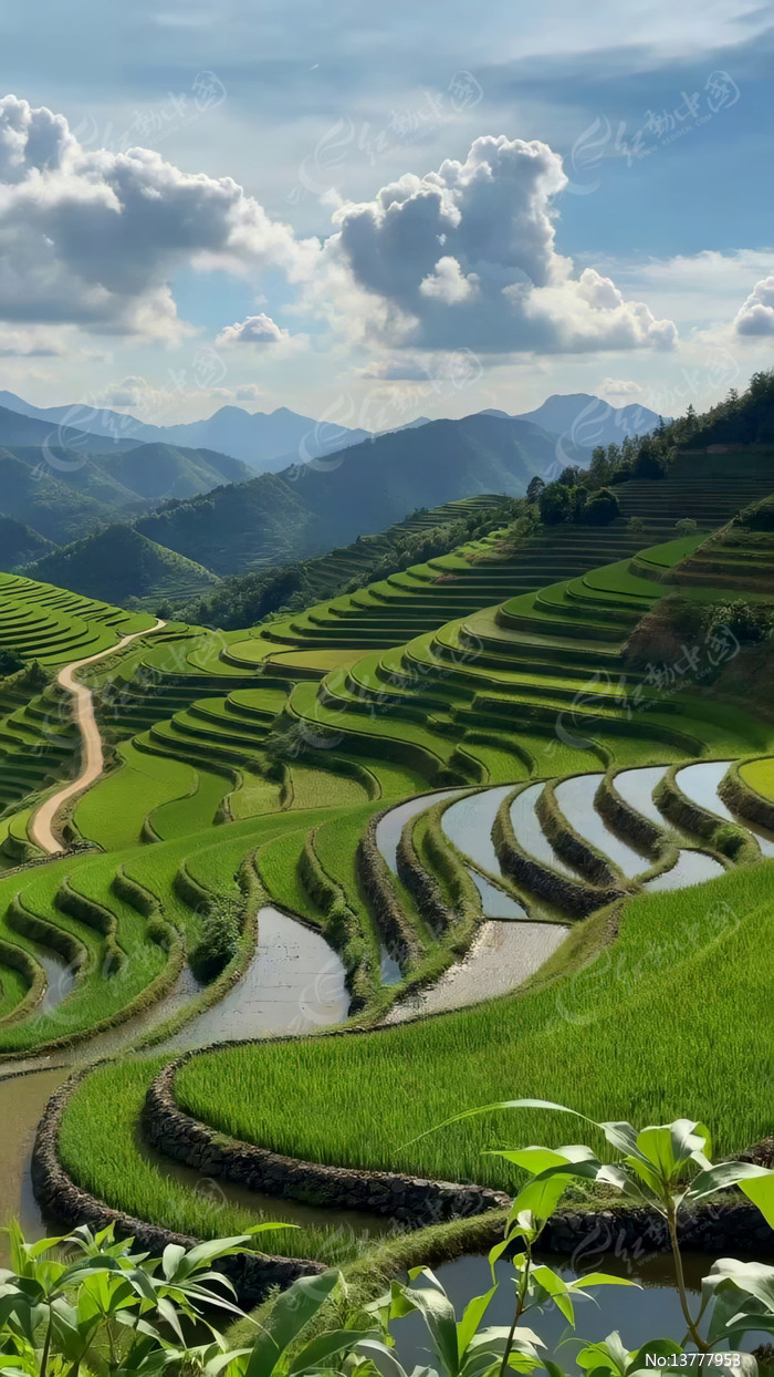 ɽ��������Ȼ����ز�