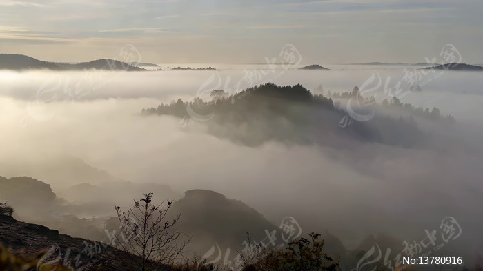 ɽ���ƺ�ɭ�־���