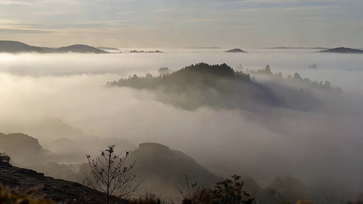 ɽ���ƺ�ɭ�־���