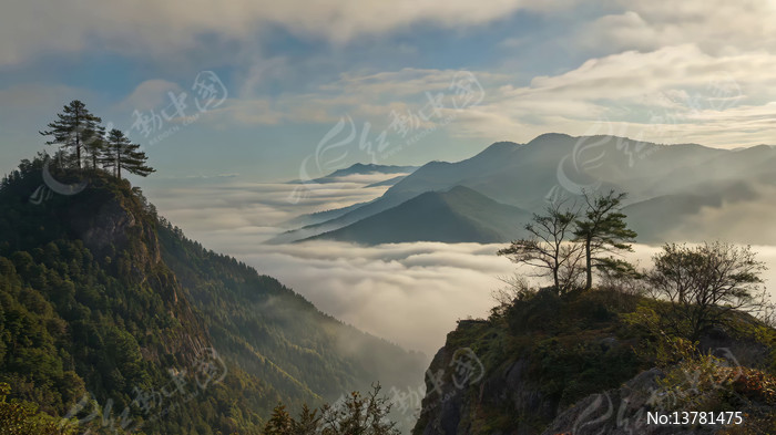 ɽ���ƺ�ɭ�־���