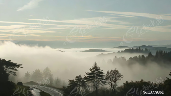 ɽ���������Ƶ�ɭ�ֵ�·