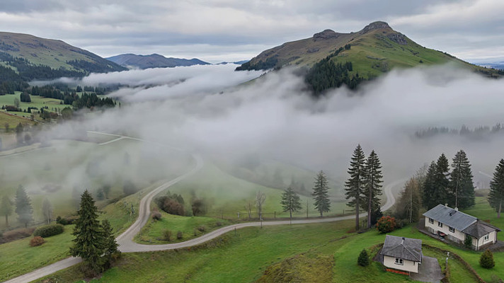 ɽ���������Ƶ������