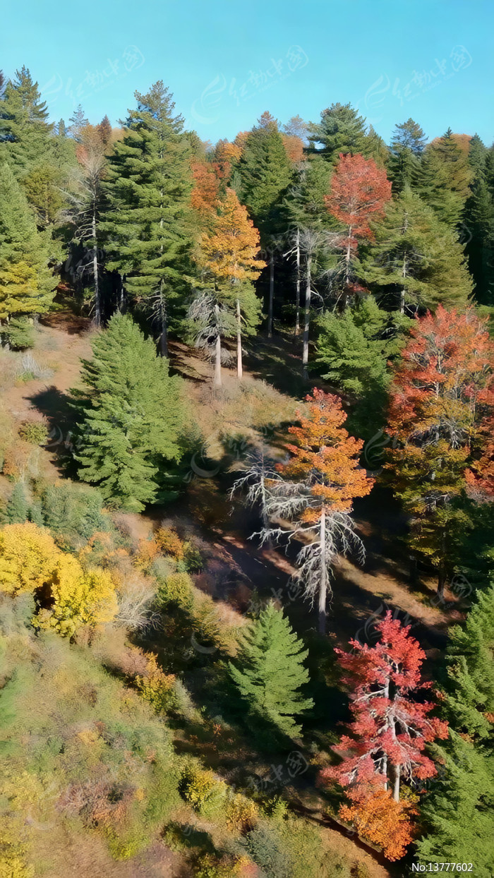 ɽ�ֶ����ľ���