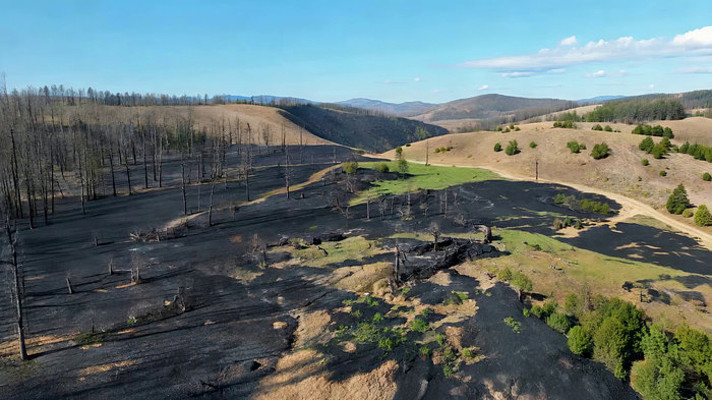 ɽ�ֹ������