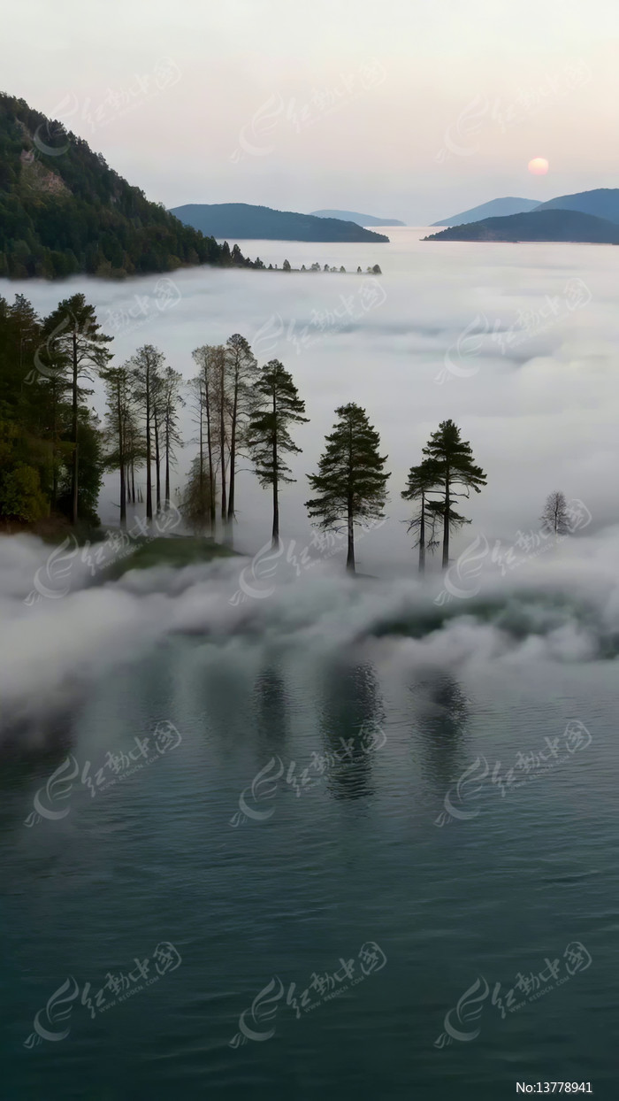 ɽ�ֺ����ƺ��ճ�����