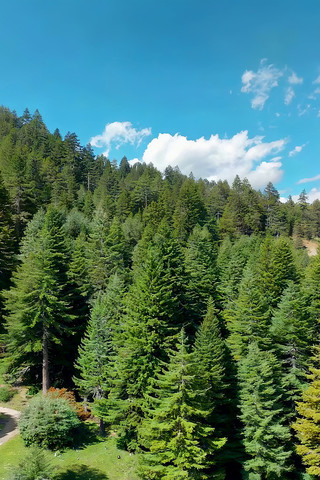 ɽ�ּ�ï��������ȫ��