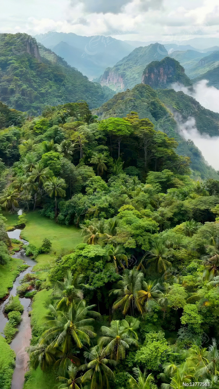 ɽ�ּ�ï��ֲ����Ϫ�����