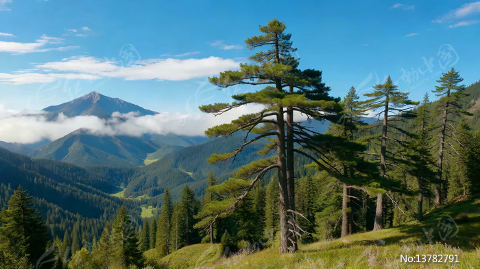 ɽ�ּ�������Զɽ�羰