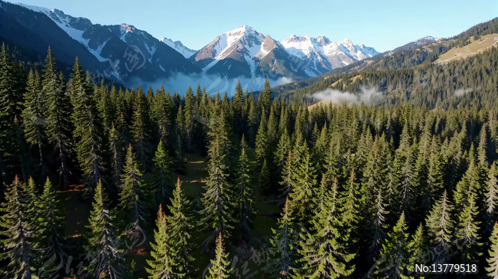 ɽ�ּ�ѩɽɭ�ֺ����ز�