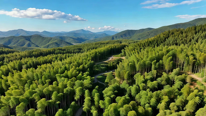 山林鸟瞰绿色森林全景 山林鸟瞰绿色森林全景