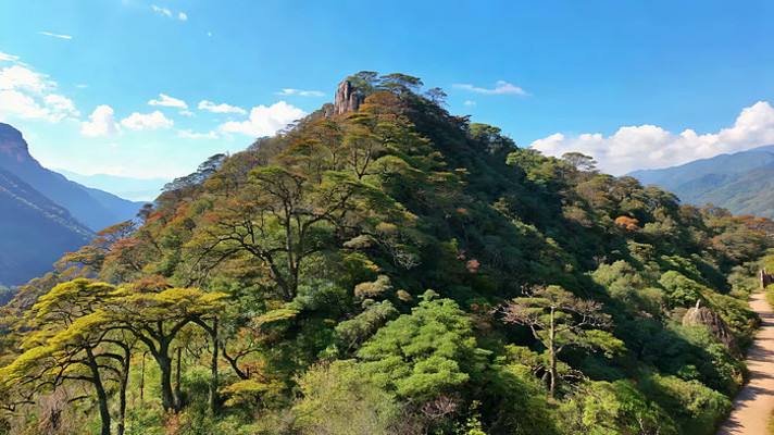 山林全景自然风光 山林全景自然风光