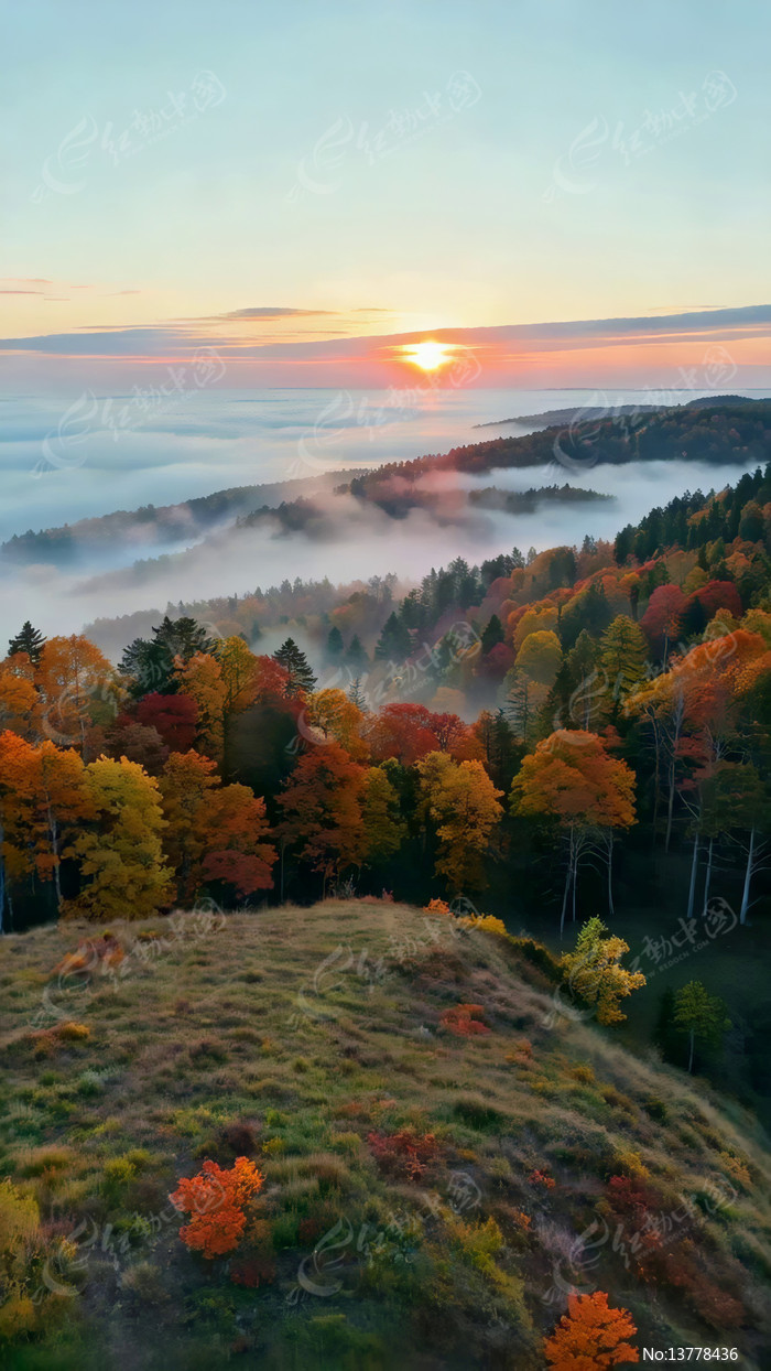 ɽ���ճ��ƺ���Ȼ���